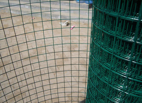 荷蘭網(wǎng) 荷蘭網(wǎng)